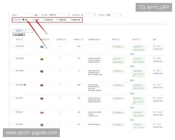 PG国际站优化策略详解提升店铺曝光率和客户转化率的方法