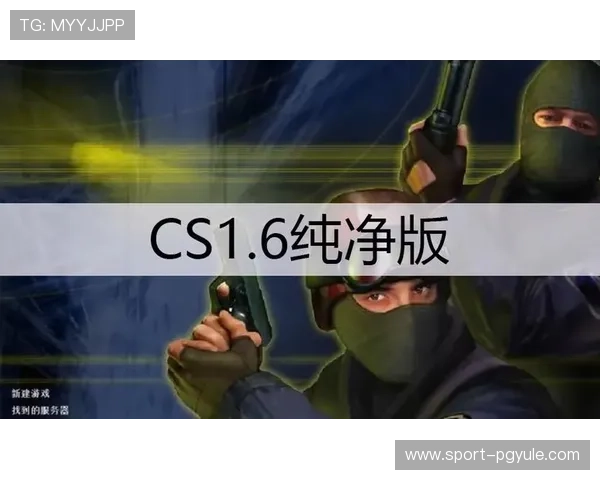 PG平台电子网站的技术支持与维护保障，确保游戏运行稳定，用户体验流畅无忧