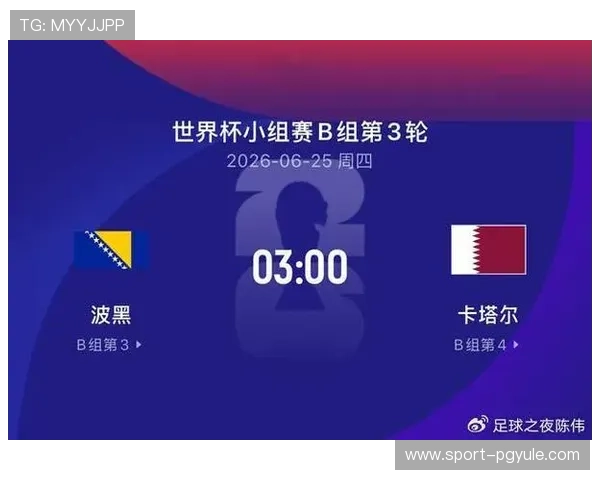 世界杯波黑对卡塔尔比赛现场观赛指南：门票购买、比赛时间及现场交通攻略